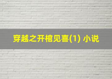 穿越之开棺见喜(1) 小说